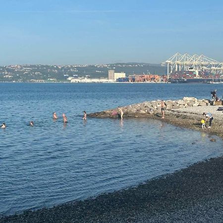 At Alex Apartments Koper városi község Kültér fotó